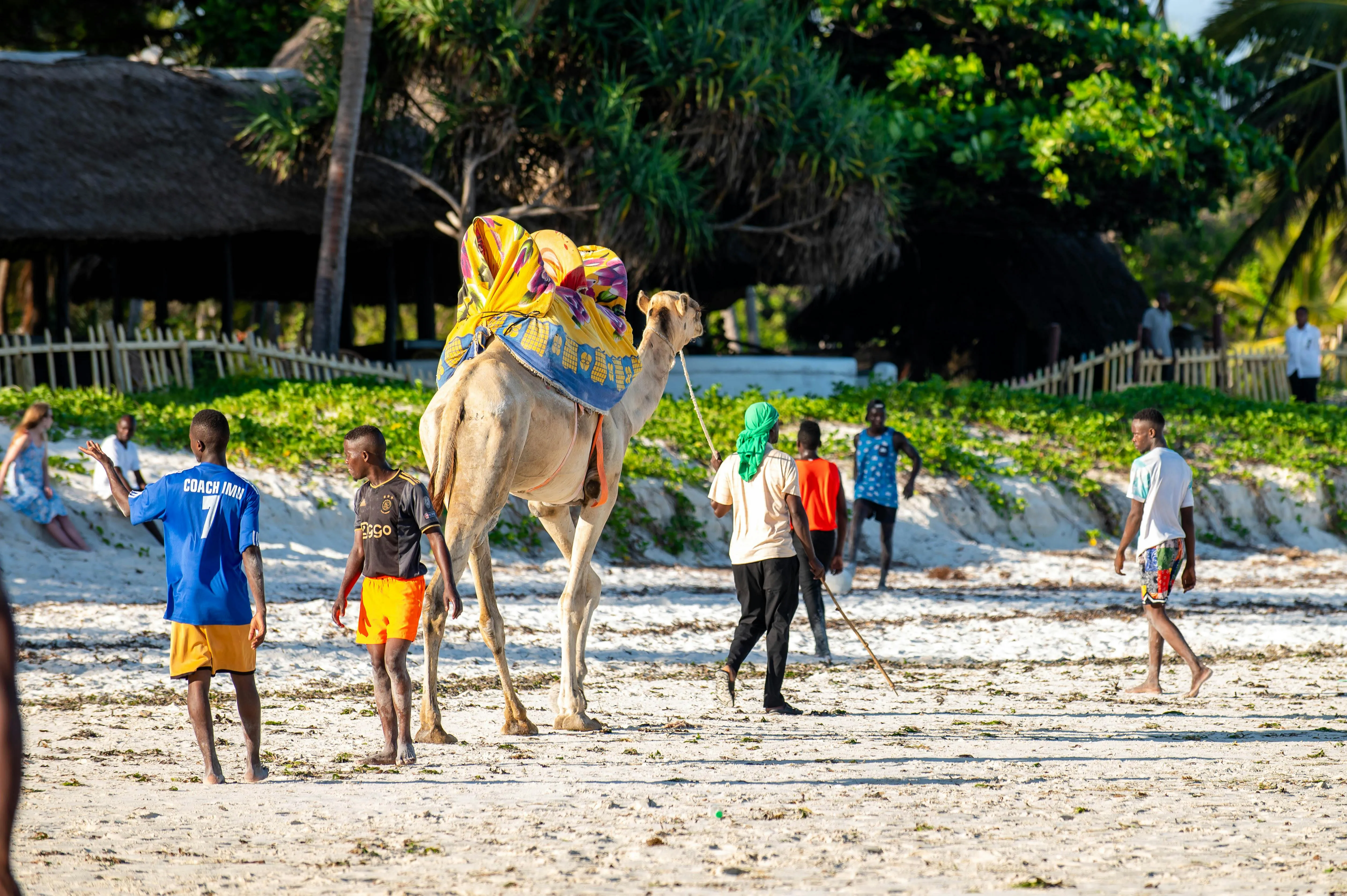 Visitors relaxing on the shores of Lake Malawi at a lakeside lodge